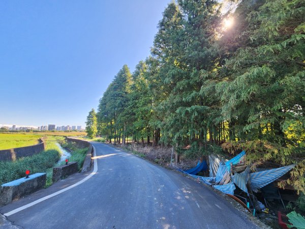 20241019 Ubike 湖口 ~ 大溪2671653