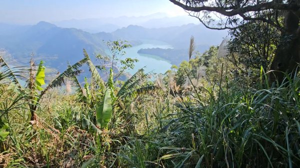 20251216太平山石門山小粗坑山O型+蕃薯藤TINA廚房2972567