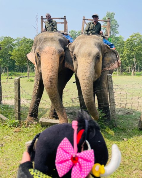 尼泊爾奇旺國家公園4天三夜2788857