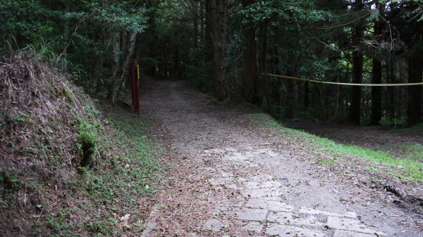 北坑山登山健行趣(中級山)1526338