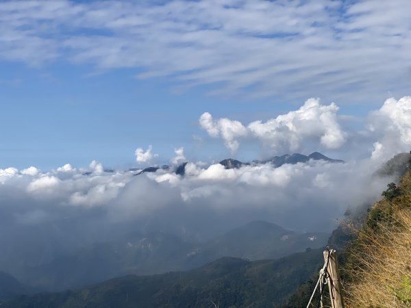 20250119二延平步道2716340