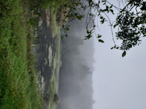 小油坑～七星山～冷水坑～擎天崗1940757