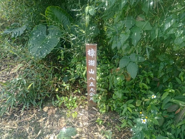 雲嘉十八連峰2589554