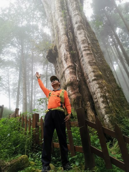 阿里山水山療癒步道_202407062569750