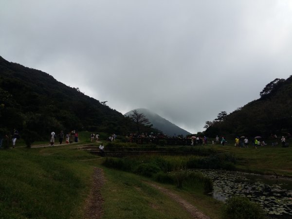 大屯山系｜漫步枕頭山。二子坪漫漫而行665902