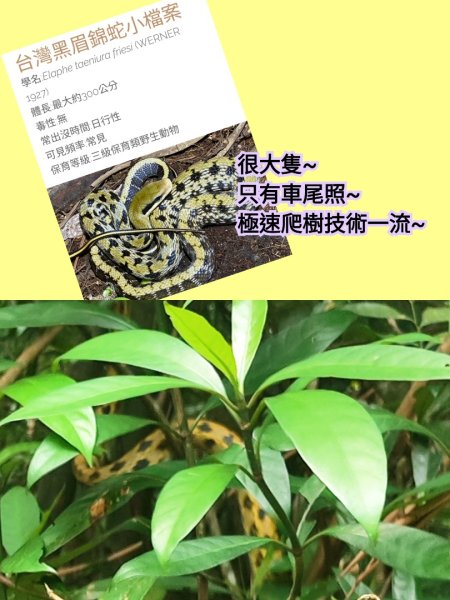 石空古道-石空山-太和山-火燒寮山-伯朗城堡-外澳車站3044223
