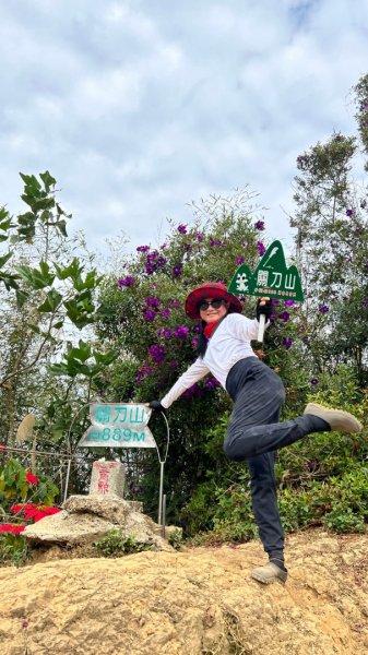 小百岳關刀山889m+銅鑼杭菊1924091