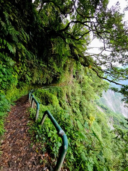 瓦拉米步道(登山口至佳心段)-(花蓮)臺灣百大必訪步道2789420