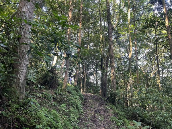 [淡蘭古道] 2025_0802 南路第四段2850829