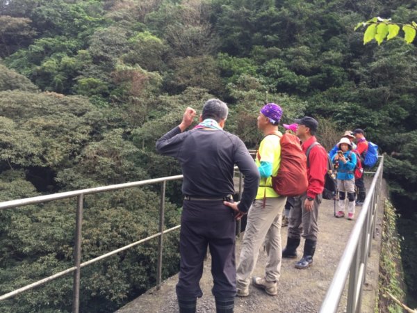 淡蘭古道-燦光寮古道沿著雙蕨葉指標而行485338