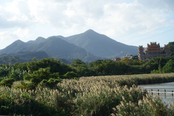 關渡水岸公園1156280