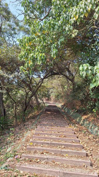 瑞井古道+竹坑山+竹坑南寮步道202603283045269