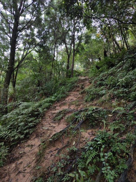 2023.12.14 鵲子山2804610