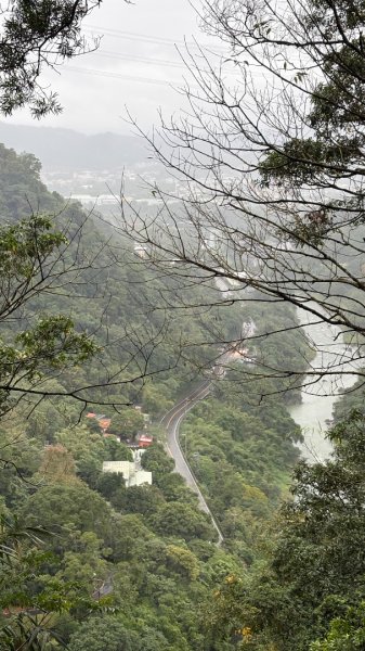 迎新（2026元旦2975551