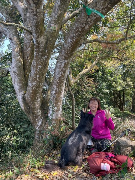 高雄美濃月光山2734950