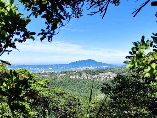 翠山步道、大崙頭尾山親山步道【臺北健走趣】2874302