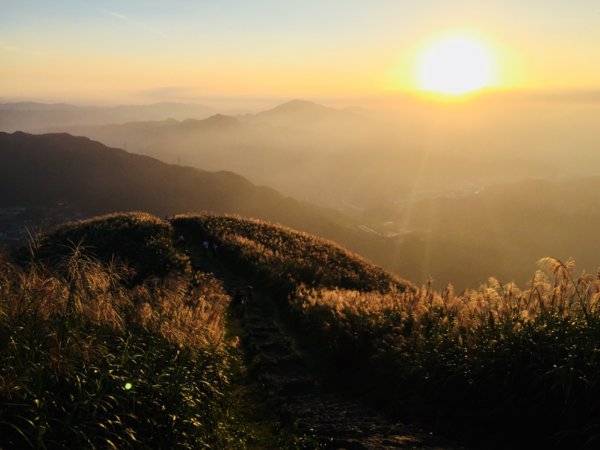 秋陽、金芒、基隆山464486