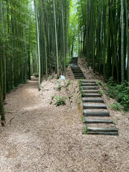 嵐山再古坑。五元兩角 木馬古道2806166