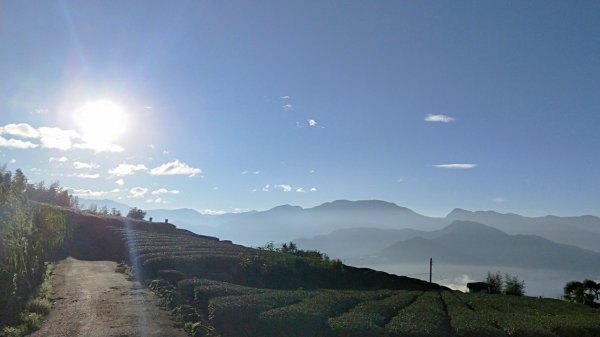 【巃頭-龍銀山天氣】阿里山日出私房秘境691539