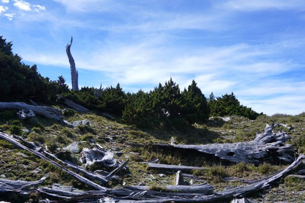 八通關古道西段（三）秀姑坪＆秀姑巒山392015