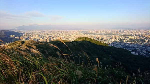 新北樹林-三角埔頂山1420665