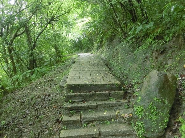 外按古道．烏塗溪步道136872