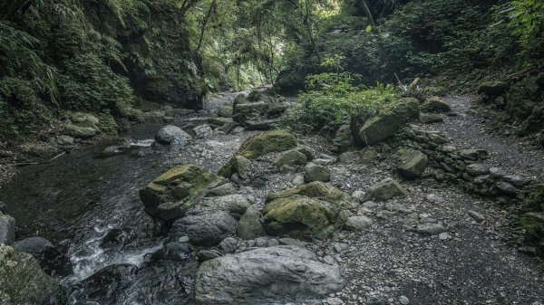 短而優的林美石磐步道1475138