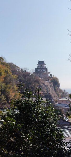 九州小京都（大分杵築城）2999731