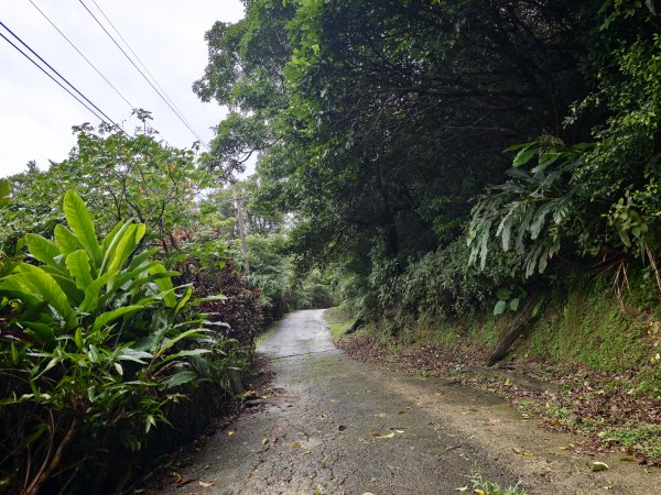 [淡蘭古道] 2026_0614 北路第三段_道路3075522