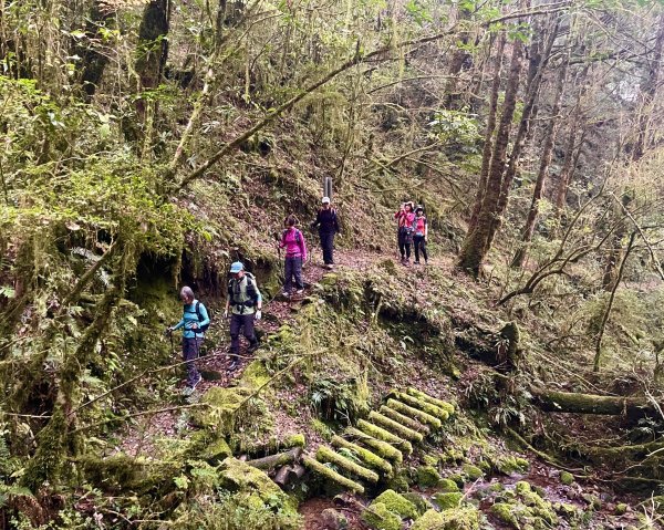 福巴越嶺國家步道2364576