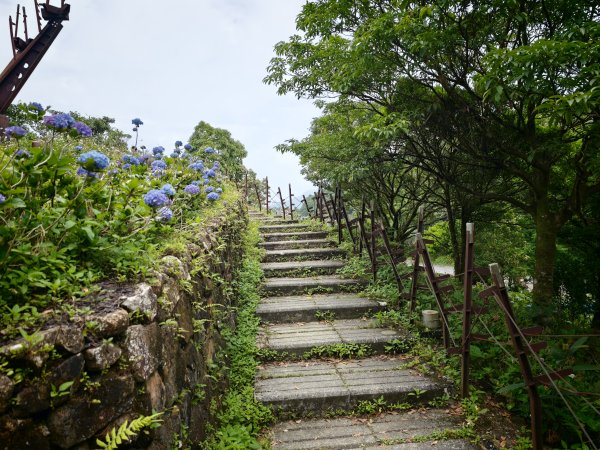 [淡蘭古道] 2026_0524 南路第五段_跑馬古道(上)-猴洞坑溪3070101