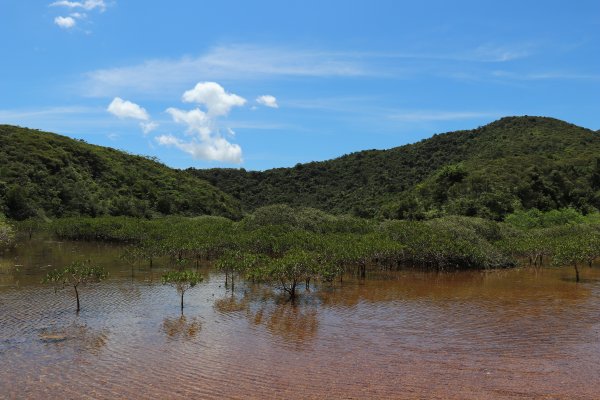 HK - 牛屎湖1046158