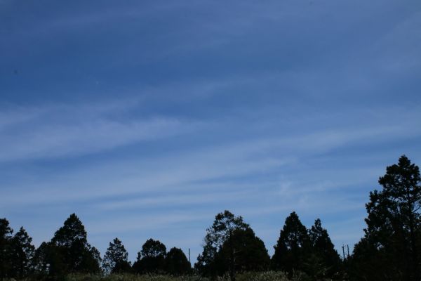 翠峰湖觀景台周邊巡禮195329