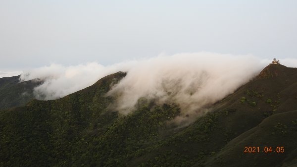 0405陽明山再見雲瀑，今年以來最滿意的一次1335480
