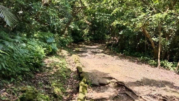 基隆市海興森林步道-情人塔-老鷹岩-情人湖登山步道O型3092725