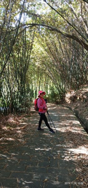 108.11.30桃園 草嶺山 白石山758560