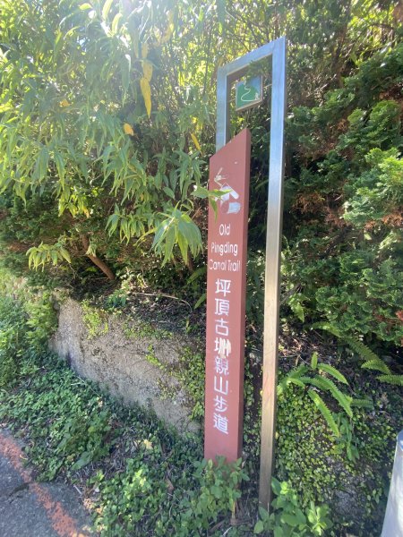 內雙溪的消暑密碼｜走一趟坪頂古圳就懂2861854