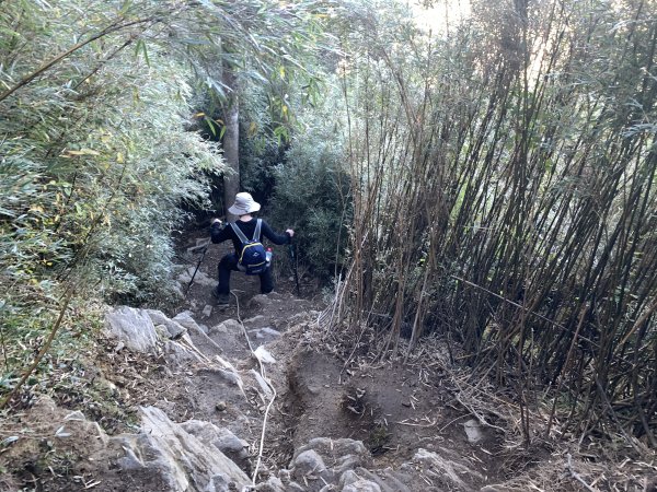 【合歡山】一日合歡西峰1222049