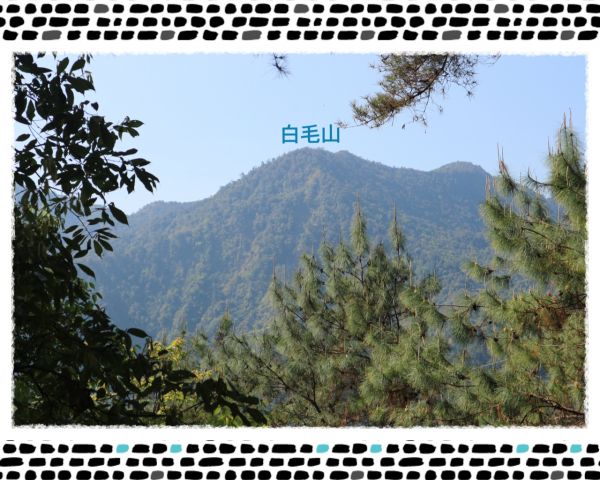 谷關七雄東卯山305514