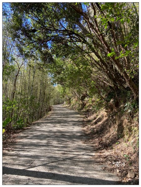 那羅山、煤源山、凌空廊道連走2684212
