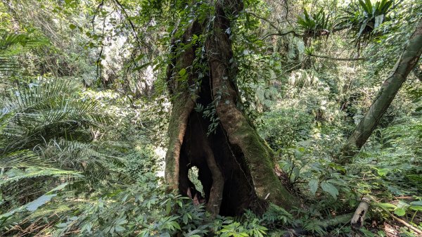115.04.12金平山西峰-蝙蝠洞之旅3034703
