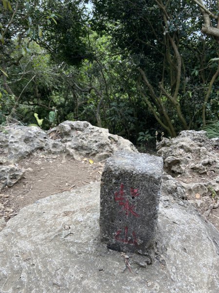 柴山，一年四季3085740