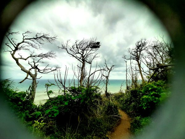 琅嶠卑南古道2700546