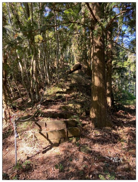 頭社山主峰及基點峰(社頭山)2681586