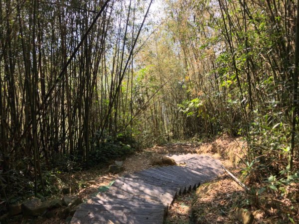 嘉義縣番路鄉二延平山1965552