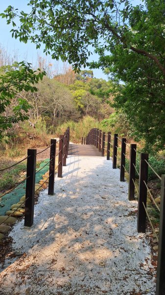 瑞井古道+竹坑山+竹坑南寮步道202603283045277