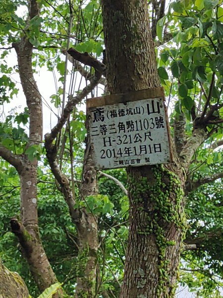 鳶山登山步道2760132
