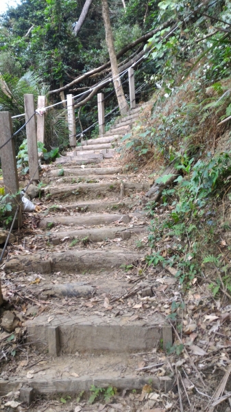 [台南.南化]龍麟山步道--登王爺崙山.賞龍麟奇岩92245