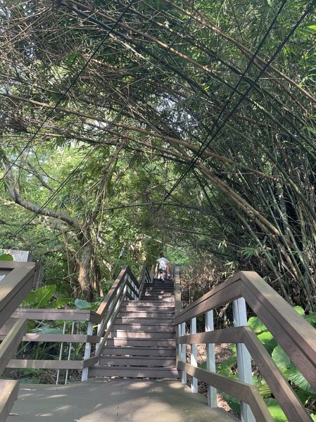 【鳶山山系】鳶山彩壁2858054