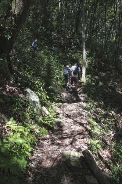 八仙山-夏日避暑好所在631684